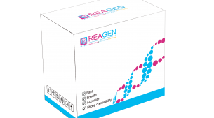 對蝦桿狀病毒（BP）DNA恒溫核酸檢測試劑盒（不含提?。? height='100'>
			</a>
		</figure>
		<h4 class=